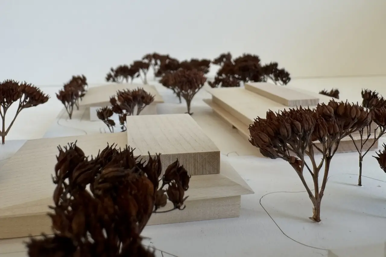 Modellfoto mit mehreren flachen, versetzt angeordneten Baukörpern aus hellem Holz, umgeben von Bäumen aus getrocknetem Material.