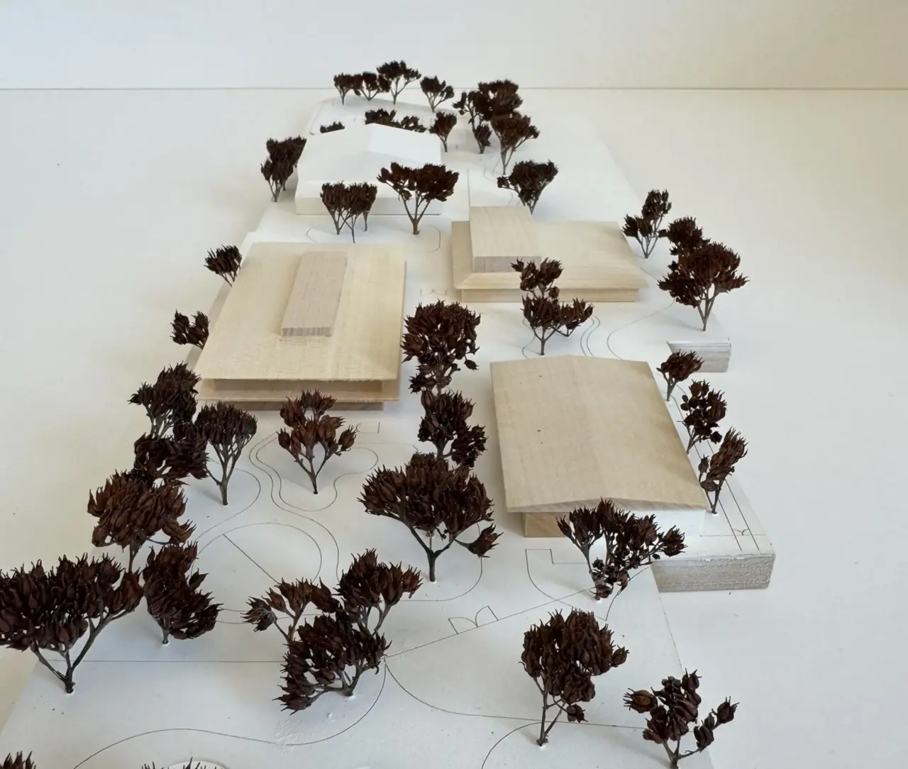 Auf einer weißen Modellplatte verteilen sich mehrere flache, rechteckige Baukörper aus hellem Holz und weißem Material, dazwischen zahlreiche kleine Baummodelle mit dunkelbraunem Blattwerk entlang geschwungener Wegelinien.