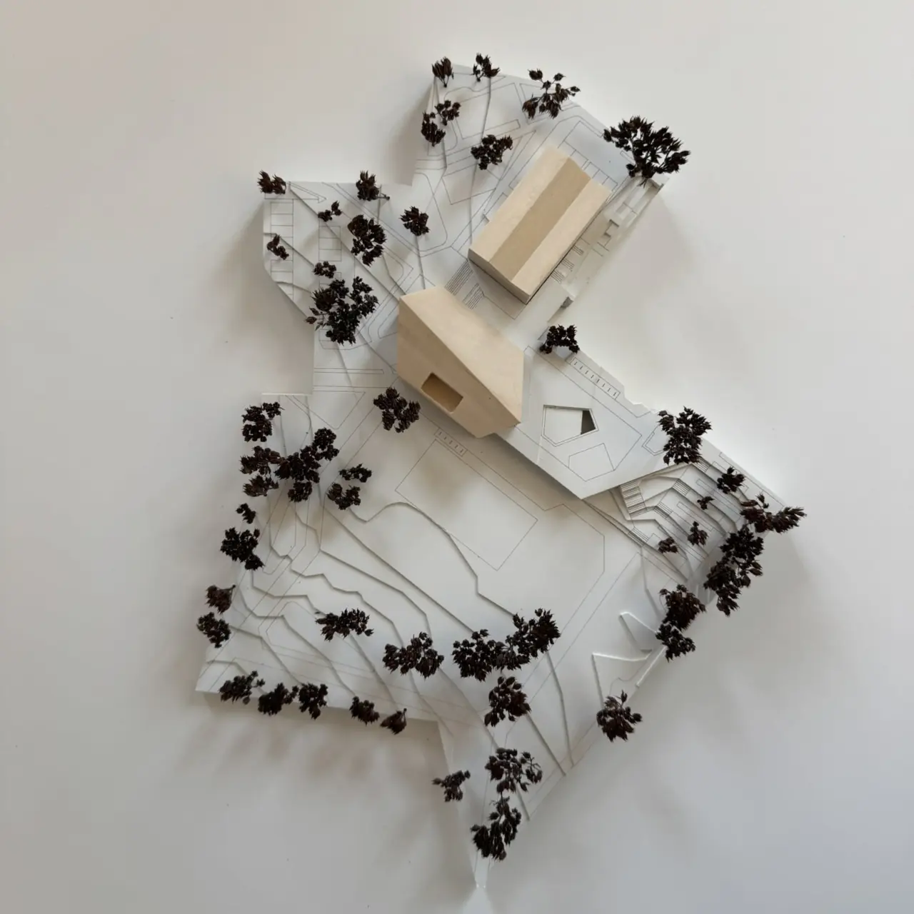 Modellfoto von oben zeigt zwei helle Holzbaukörper auf einem Lageplan mit zahlreichen Baummodellen und Höhenlinien.