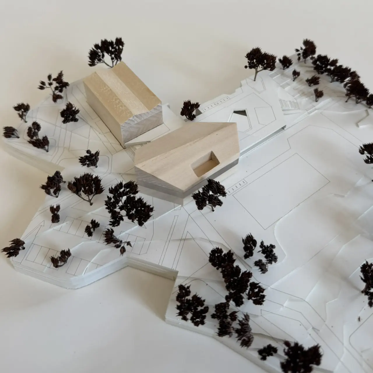 Modellfoto zeigt zwei versetzte Baukörper aus hellem Holz auf einem weißen Lageplan mit zahlreichen Baumfiguren.