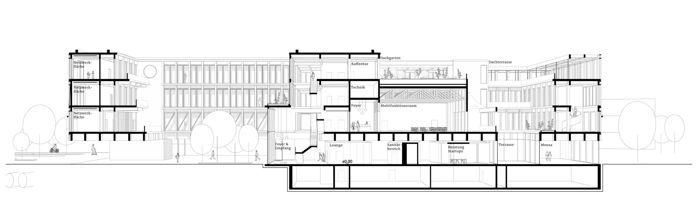 Gebäudeschnitt zeigt mehrgeschossige Baukörper mit Foyer, Multifunktionsraum, Mensa und Dachterrassen über einem Untergeschoss.