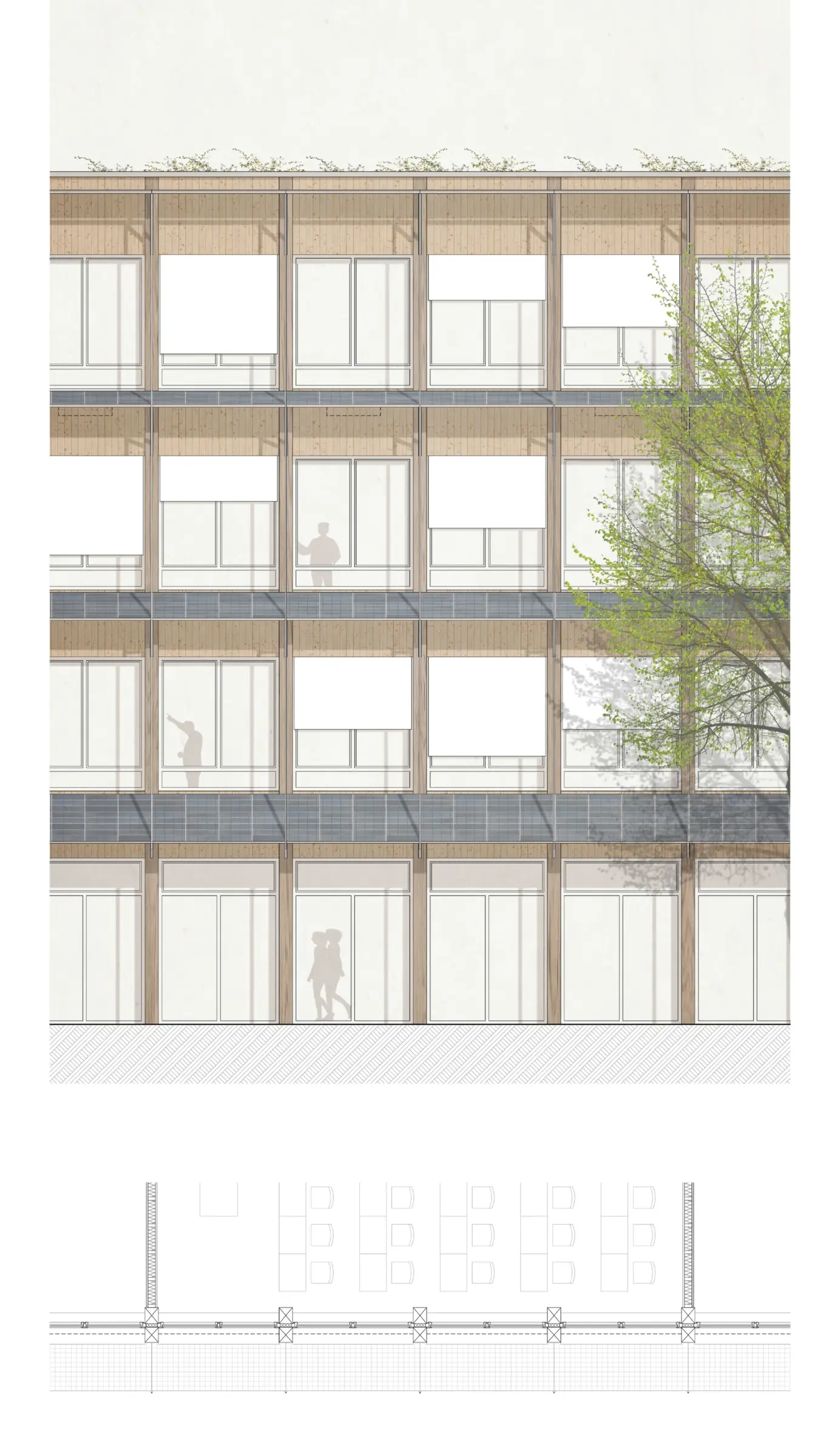 Fassadenansicht eines Holzbaus mit vier Geschossen, durchgehenden Fensterbändern und schmalen Balkonen vor einem Baum.