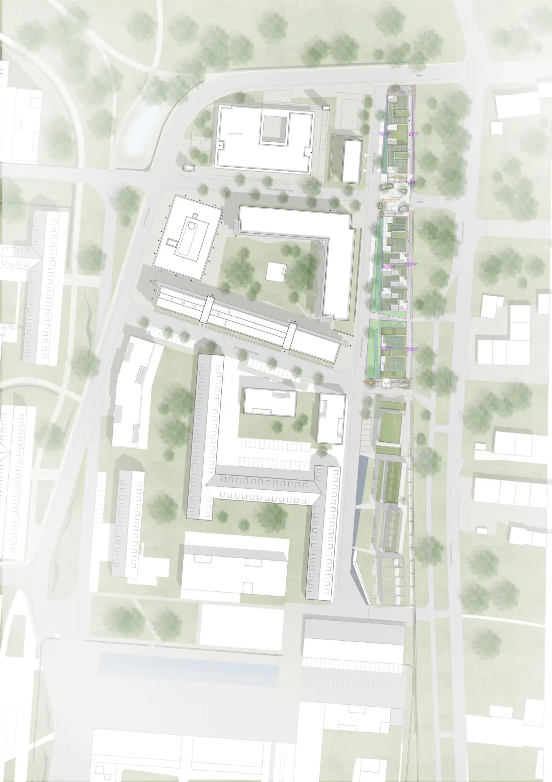 Lageplan zeigt mehrere Baukörper entlang einer Straße mit begrünten Innenhöfen und Baumbestand.