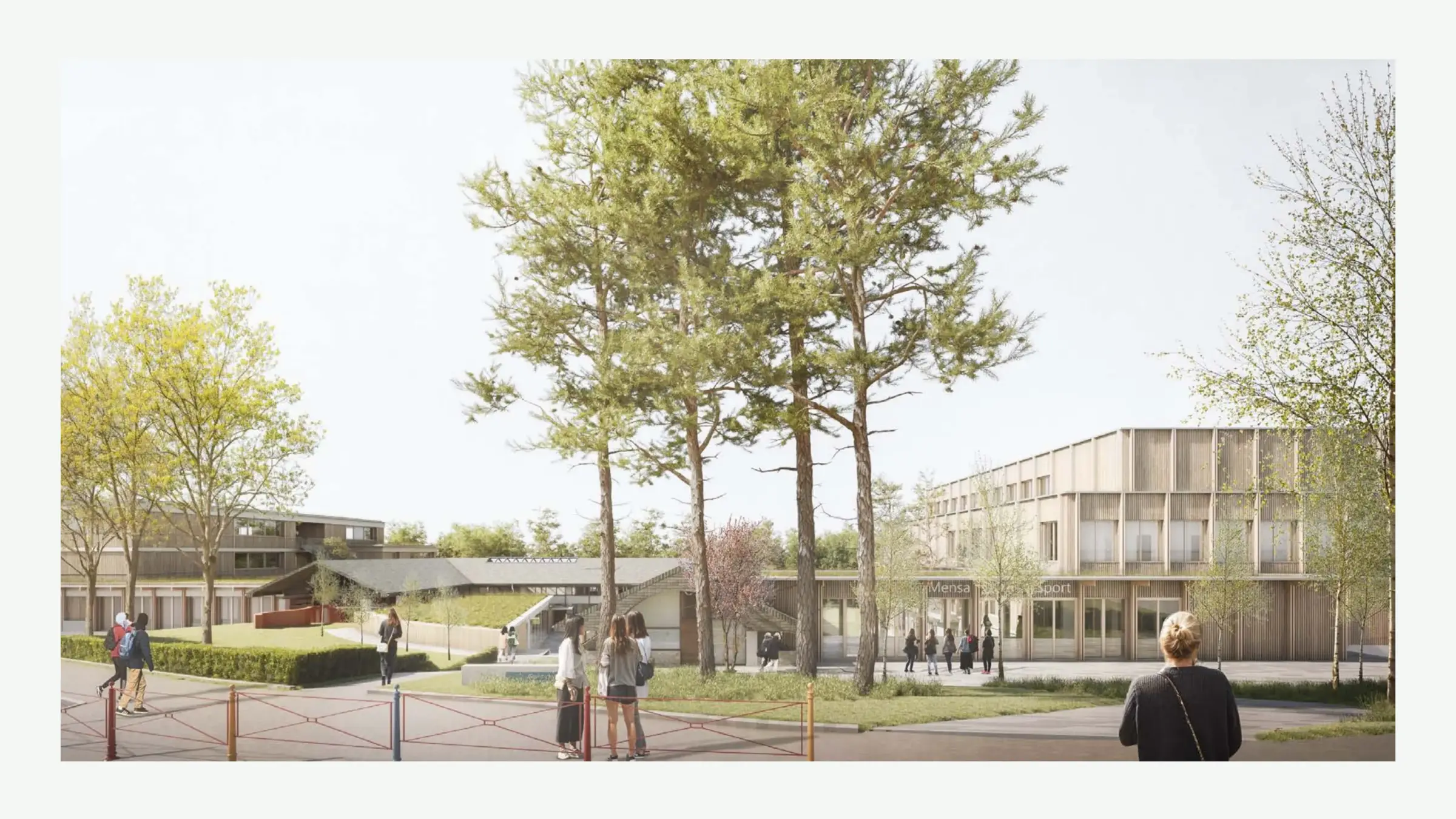 Außenperspektive eines Schulgebäudes mit Holzfassade, hohen Kiefern im Vordergrund und Schülern auf dem Pausenhof.